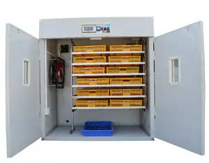 1000 oeufs incubateur d'énergie solaire incubateur d'oeufs solaire automatique à vendre