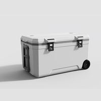 Glacière de pêche haute capacité avec roulettes, portable, pour le camping et les voyages en extérieur, grande taille