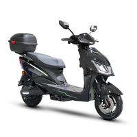TYCORUN 2025 Moto Électrique Compacte Sportive Populaire pour Adultes 1000W/800W 40-60km/h Fabricant de Scooters et Motos Électriques
