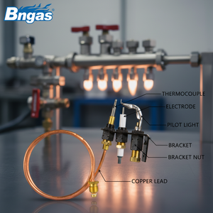 Queimador Piloto com Sensor de Chama, Queimador Piloto a Gás com Eletrodo, Ignitor de Superfície Quente, Eletrodo de Ignição, Acendedor Piezoelétrico, Conjunto de Queimador Piloto - Product Image 3
