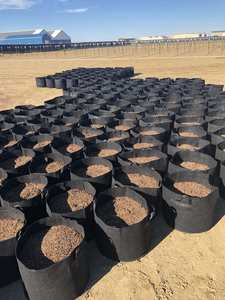 Borsa da 15 galloni in feltro nero con manico resistente e resistente per il giardinaggio a fungo che cresce per altri usi esterni - Product Image 6