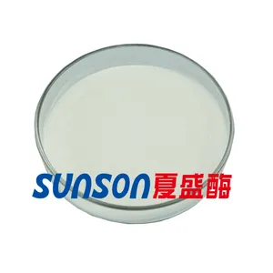 Sunson Transglutaminase enzim Transglutaminase lem daging TG kualitas untuk meningkatkan produk Surimi daging Gel elastisitas kualitas