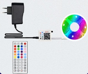 Juego de tiras de luz <span class=keywords><strong>LED</strong></span> <span class=keywords><strong>Bluetooth</strong></span> 5050RGB control remoto inteligente 44 teclas <span class=keywords><strong>Bluetooth</strong></span> 24VRGB luz ambiental - Product Image 3