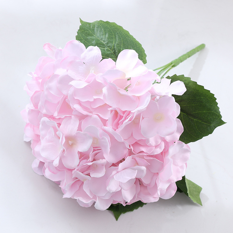 pink 14