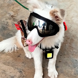 Gafas Caninas Resistentes con Lentes Irrompibles para Aventuras al Aire Libre - Product Image 1