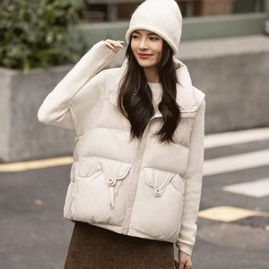 Veste à manches courtes pour femmes, printemps-automne, nouveau style, doublée de plumes, look haut de gamme - Product Image 5