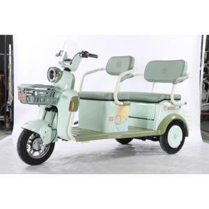 Triciclo Eléctrico Abierto de Alta Calidad, el Más Vendido, Ideal para Desplazamientos Diarios y Recogida y Entrega Escolar - Product Image 5