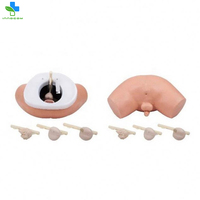 Mannequin d'enseignement médical modèle anatomique de simulateur d'examen de la prostate humaine éducatif pour l'examen de la prostate