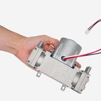 Pompe à vide 80L -85kpa Taille compacte Pompe à double tête Compresseur d'air Pompe à vide 24V