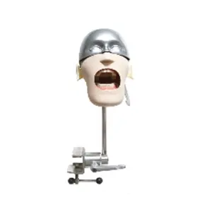 NISSIN Dental manikins Phantom Head models for dental education phantom heads at affordable pricing