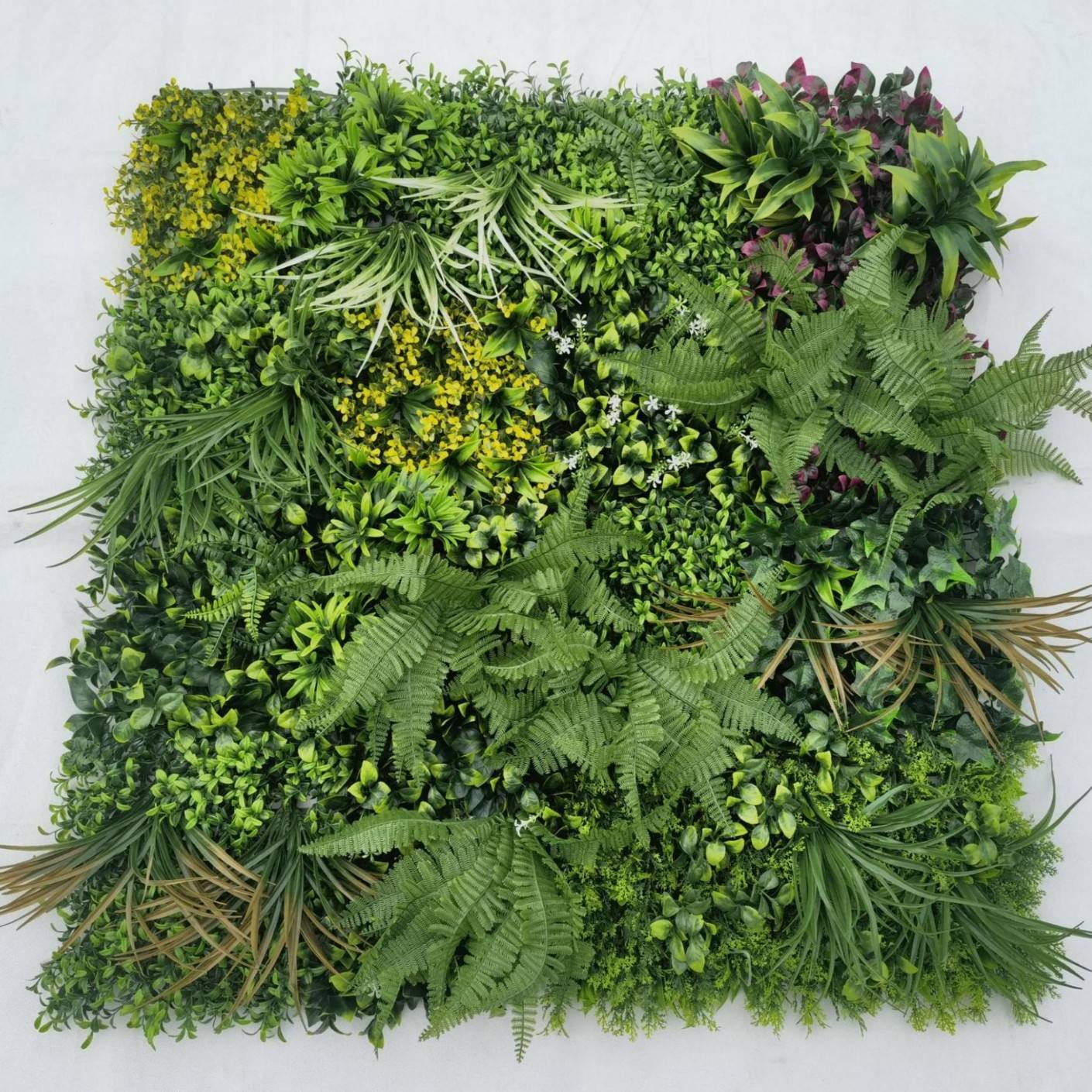 B specifications 100*100