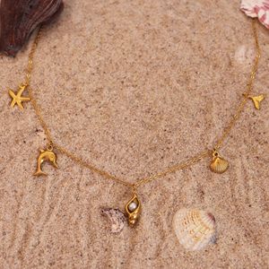 Collar con colgante de estrella que no se desvanece, venta al por mayor, collares con colgante de perla de <span class=keywords><strong>pez</strong></span> <span class=keywords><strong>globo</strong></span> de concha bonita a la moda, serie oceánica, piezas de joyería únicas - Product Image 5