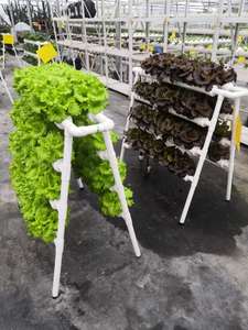 Sistema Hidropónico NFT con 72 Orificios, Sistemas de Cultivo Hidropónico Verticales, Tubo de PVC para Plantas y Vegetales - Product Image 6