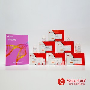 Kit di Estrazione del <span class=keywords><strong>DNA</strong></span> Genomico di Funghi Solarbio D2300 di Alta Qualità per la Ricerca Scientifica - Product Image 1