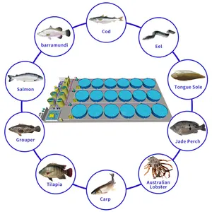 100 tonnes Capacité de L'eau Équipement De Pisciculture Ras Prix 5 tonnes Ras Pisciculture Intérieure Coût Chat Poisson Ras