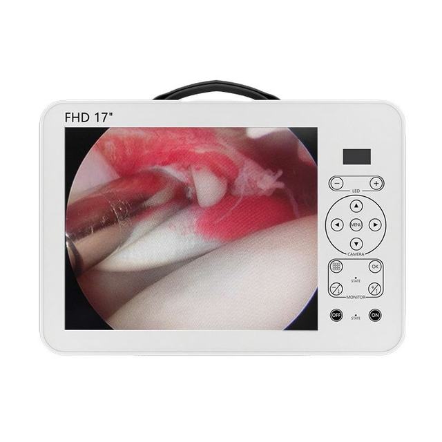 Veterinary Use Rigid Endoscopy Camera System with 17" All-in-One Monitor & Recording for ENT Laparoscopic Surgery or Examination