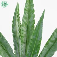 Feuilles de palmier artificielles en PE de 76 cm, 6 bouquets, feuilles de caladium, plante pour décoration de mariage et de maison, arrangement floral