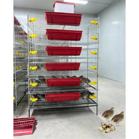 Système de cages modulaires pour cailles avec structure en H pour les installations d'élevage avicole à haute densité
