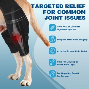 Supporto per Ginocchio Canino, Tutore Regolabile per Zampa Posteriore con 4 Stabilizzatori Metallici per Lesioni al LCA e CCL, Aiuta a Contenere la Rotazione della <span class=keywords><strong>Rotula</strong></span> - Product Image 3