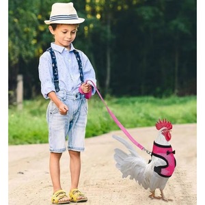 Échantillon Gratuit Harnais et Laisse Réglables pour Poulets et Oies, Petite Taille, Confortables et Respirants, Ensemble Gilet pour Poules - Product Image 4