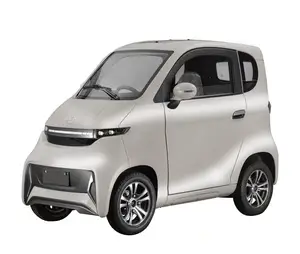 EEC Kabinenroller Elektro 25km/h CKD Electric Vehicle Disable Cabin Scooter Electric Adult Car