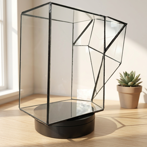 Terrarium géométrique irrégulier en verre avec cadre en fer fini noir pour décoration intérieure et stockage de plantes succulentes à bas prix - Product Image 1