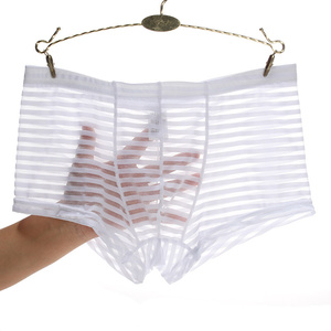 Lot <span class=keywords><strong>de</strong></span> 10 slips sexy pour hommes en maille respirante, taille basse, transparents, style cool, sous-vêtements pour adultes - Product Image 1
