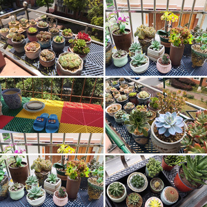 <b>Plastic</b> <b>Flooring</b> Puzzle <b>Mat</b> Gray Black Yellow Non Slip Rectangle Industry Standard Drainage Board - Product Image 4