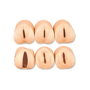 Mô hình mối quan hệ giữa các thay đổi cổ tử cung trước khi sinh và đường sinh của bác sĩ phụ khoa GD/F20G - Product Image 1