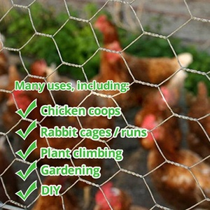 Clôtures hexagonales en PVC de Dingzhou Five-Star Metals, galvanisées, à double <span class=keywords><strong>torsion</strong></span>, pour cages à poulets, rouleaux de <span class=keywords><strong>grillage</strong></span> de 13 mm - Product Image 4