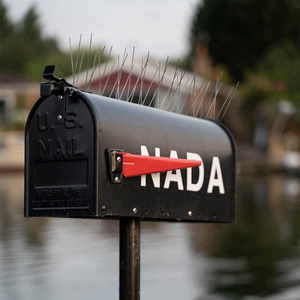 50-أجهزة طاردة للطيور من الفولاذ المقاوم للصدأ 60 مسمار رادع ، السناجب ، مزارع السناجب ، أسطح الطيور المسامير - Product Image 5