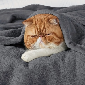 Wholesale Solid Lightweight Home Flannel Blanket for Winter <strong>Super</strong> <strong>Soft</strong> Knitted Fleece <strong>Throw</strong> for Sofa Bedding and Decorative - Product Image 5