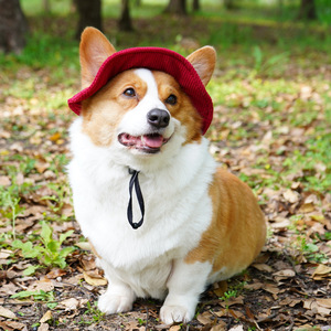Chongtapet Pet Corduroy Fisherman <b>Hat</b> Adjustable For Dogs And Cats Sun Protection All Seasons Monochrome - Product Image 2