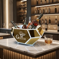 VipGeieium Nouveau Seau à Glace en Acrylique Personnalisé pour Bar et Club, Porte-Bouteilles de Bière, Seau à Champagne LED avec Lumière