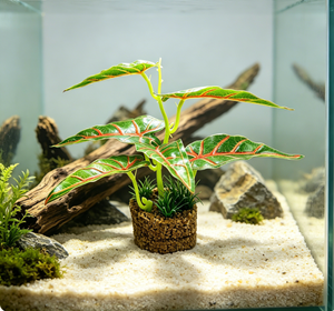 Nouvelles herbes et feuilles artificielles en plastique <span class=keywords><strong>pour</strong></span> <span class=keywords><strong>aquarium</strong></span>, décorations de paysage <span class=keywords><strong>pour</strong></span> <span class=keywords><strong>aquarium</strong></span> - Product Image 6