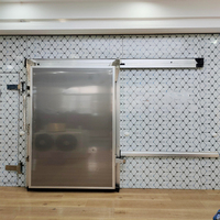 Chambre froide industrielle moderne en acier avec porte coulissante automatique pour congélation, réfrigération et stockage frigorifique