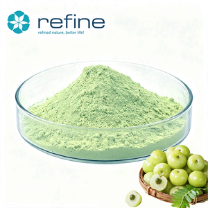 <span class=keywords><strong>Poudre</strong></span> de fruit <span class=keywords><strong>d</strong></span>'<span class=keywords><strong>Amla</strong></span> 100% pure, biologique et naturelle, directement du fabricant, <span class=keywords><strong>poudre</strong></span> de jus <span class=keywords><strong>d</strong></span>'<span class=keywords><strong>Amla</strong></span>, <span class=keywords><strong>poudre</strong></span> <span class=keywords><strong>d</strong></span>'<span class=keywords><strong>Amla</strong></span> - Product Image 3