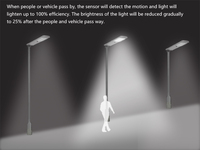 Lampe solaire LED 50W en alliage d'aluminium étanche IP65 avec contrôleur MPPT, certifiée CE RoHS, angle de faisceau 140°, pour usage extérieur en rue