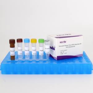 Avian <span class=keywords><strong>Newcastle</strong></span> <span class=keywords><strong>Disease</strong></span> RT-PCR Kit | Para Aves, Vet Labs, Vacina QC (Swab Oral/amostras de tecido) - Product Image 1