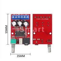 Module d'amplificateur audio numérique de classe D XH-M145 50W-100W 12V-24V CC Mono Amplificateur de puissance pour haut-parleur Subwoofer Système audio DIY