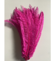 50cm Nandu plumes d'autruche pour fête maison mariage Vase décor bricolage artisanat Floral chapeau Fascinator chapellerie chapeaux accessoire