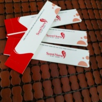 Bandelettes de test de parfum jetables sous forme de livret