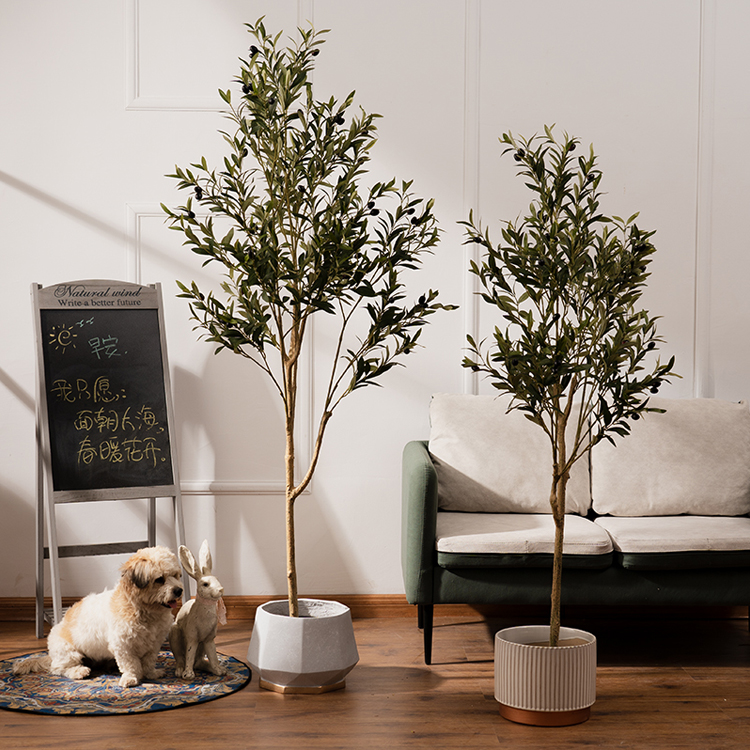 thuja smaragd 120 140 kaufen Thuja 