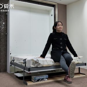 <span class=keywords><strong>Lit</strong></span> <span class=keywords><strong>mural</strong></span> multifonctionnel pliable hydraulique vertical avec bibliothèque et bureau - Product Image 4