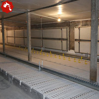 Mangeoire linéaire automatique pour volailles, équipement de ligne d'alimentation pour l'élevage de poules reproductrices et de poulets de chair
