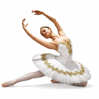 Vestido de Ballet Profesional para Mujer, Tutú Blanco, Traje Clásico para Actuación, Bordado Dorado, Ropa de Danza Escénica