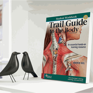 <span class=keywords><strong>Libro</strong></span> de Trabajo para Estudiantes del Guía del <span class=keywords><strong>Cuerpo</strong></span> Humano de Biel, 6.ª Edición, Tapa Blanda, <span class=keywords><strong>Libro</strong></span> de Texto Médico, Encuadernación Perfecta, Impresión de Libros Personalizada - Product Image 3
