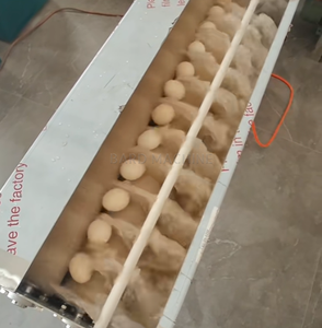 Lavadora de limpieza de huevos con cepillo Lavadora automática de huevos de pollo con ciclo de agua - Product Image 6