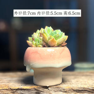 Jardinières en céramique pour plantes succulentes, décoration créative pour la maison, ornements, glaçure fluide, petits pots en forme de champignon, pots à glace craquelée pour <span class=keywords><strong>Lithops</strong></span> - Product Image 5