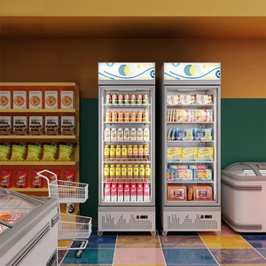 Matériel de réfrigération <span class=keywords><strong>pour</strong></span> entrepôts et supermarchés, congélateur vertical à porte vitrée, refroidissement simple, autoportant - Product Image 4